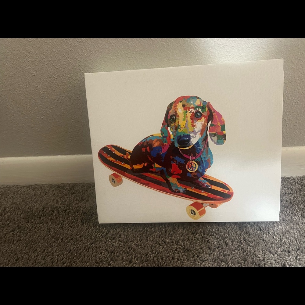 Daschound skateboard portrait